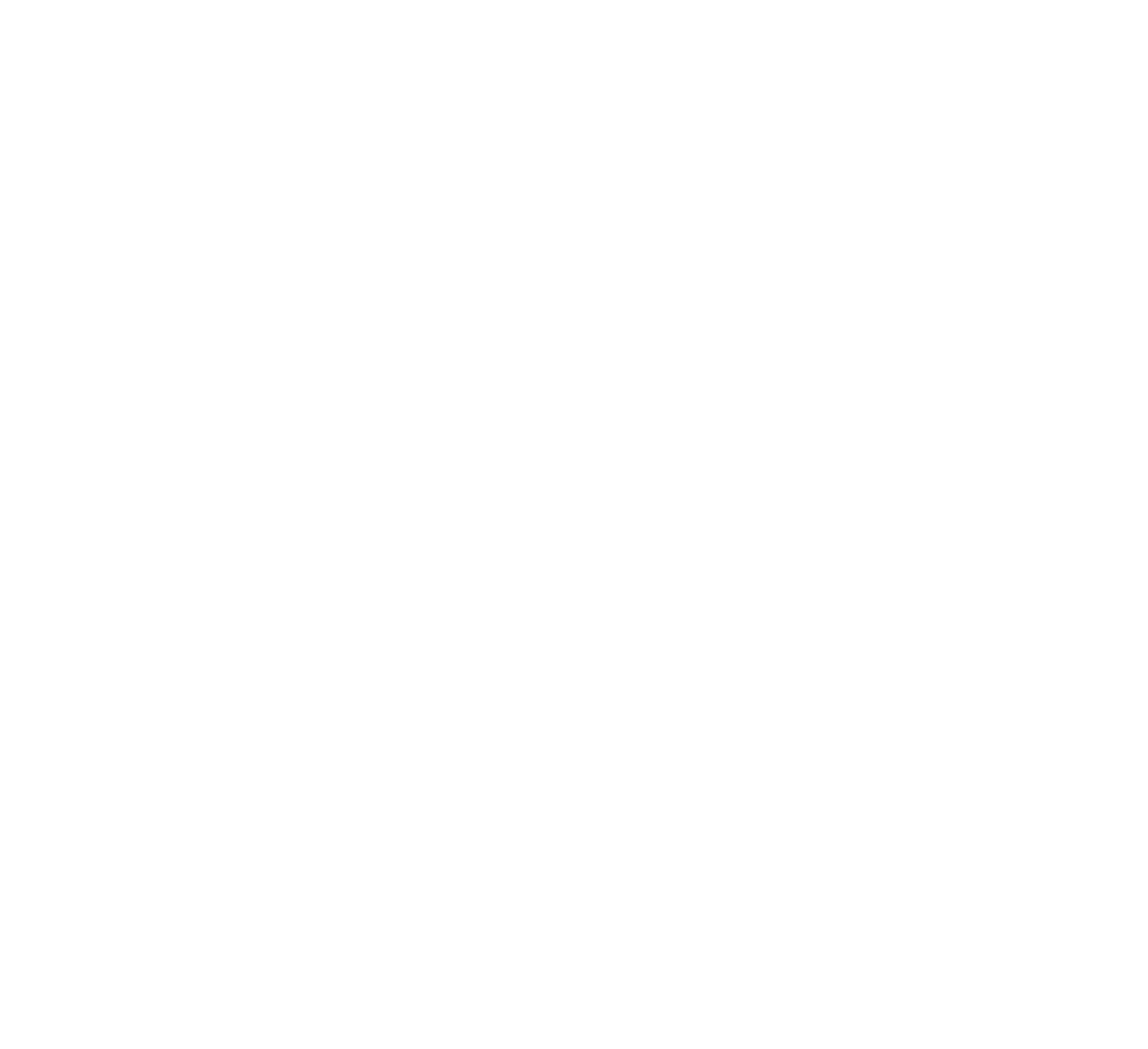 Dam Chicken logo